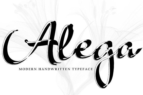 Alega Handwritten Font for Small Business Branding